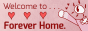 Welcome to forever home