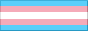 Transgender Flag Button