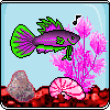purple green fish aquarium