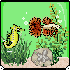 yellow seahorse and orange fish aquarium