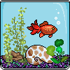 orange goldfish aquarium