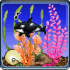 orca aquarium